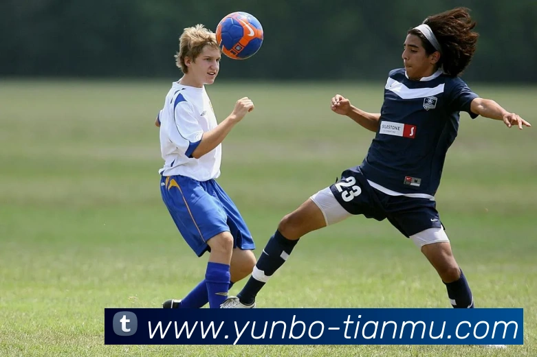 云博体育APP 封面图